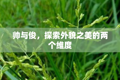 探索外貌之美的两个维度图片