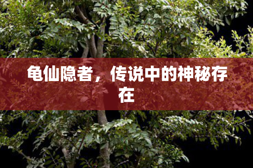 传说中的神秘存在图片