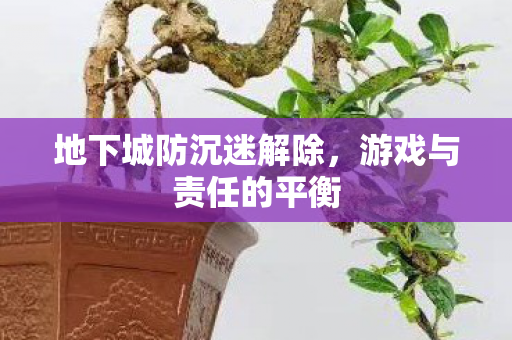 地下城防沉迷解除图片