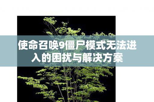 使命召唤9僵尸模式无法进入的困扰与解决方案图片