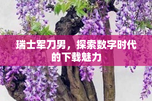 探索数字时代的下载魅力图片
