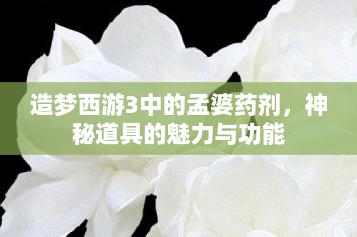造梦西游3中的孟婆药剂图片