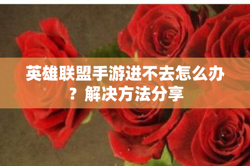 英雄联盟手游进不去怎么办图片