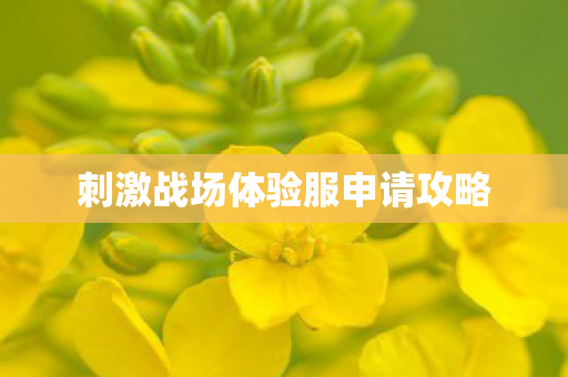 刺激战场体验服申请攻略图片