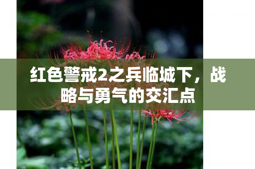 红色警戒2之兵临城下图片