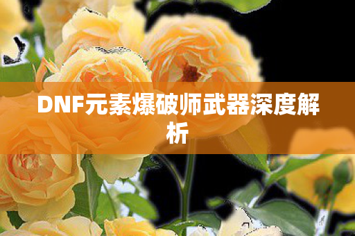 DNF元素爆破师武器深度解析图片
