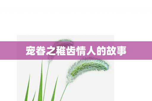 宠眷之稚齿情人的故事图片