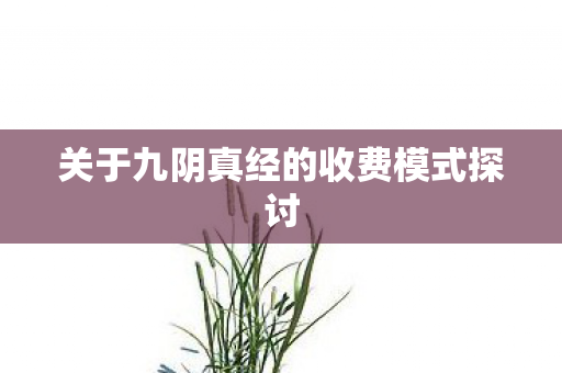 关于九阴真经的收费模式探讨图片