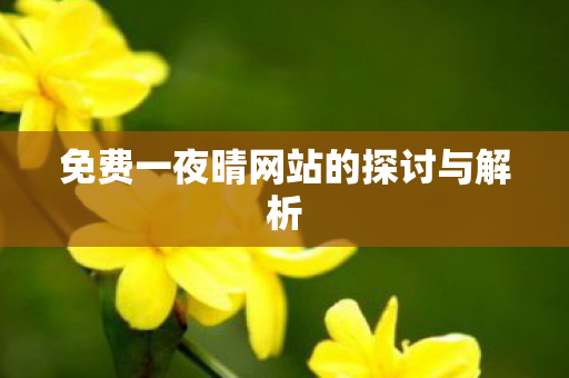 免费一夜晴网站的探讨与解析图片