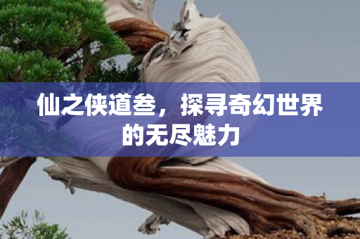 探寻奇幻世界的无尽魅力图片