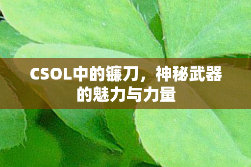 神秘武器的魅力与力量图片