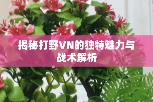 揭秘打野VN的独特魅力与战术解析图片