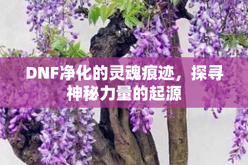 DNF净化的灵魂痕迹图片