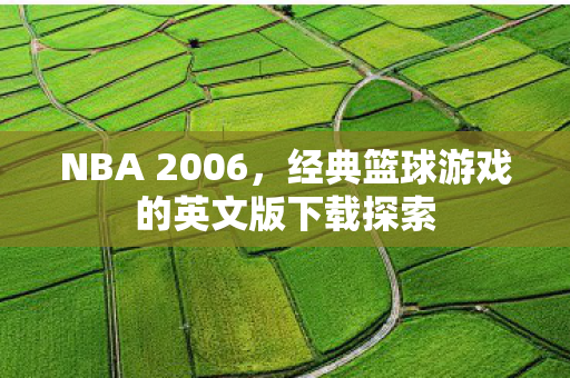 经典篮球游戏的英文版下载探索图片