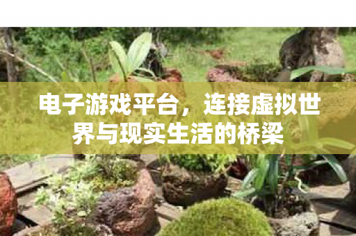 连接虚拟世界与现实生活的桥梁图片