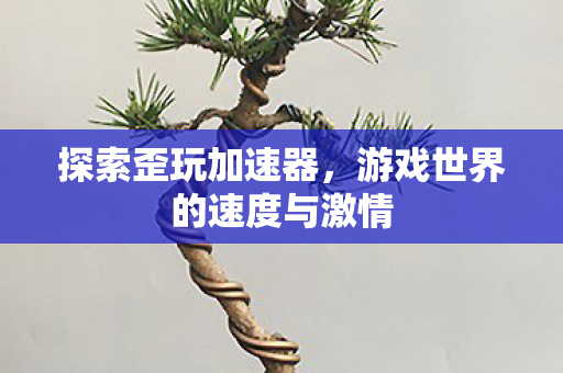 游戏世界的速度与激情图片