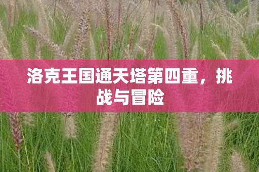 洛克王国通天塔第四重图片