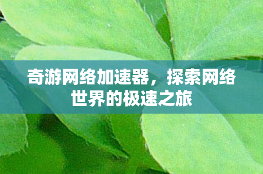 探索网络世界的极速之旅图片