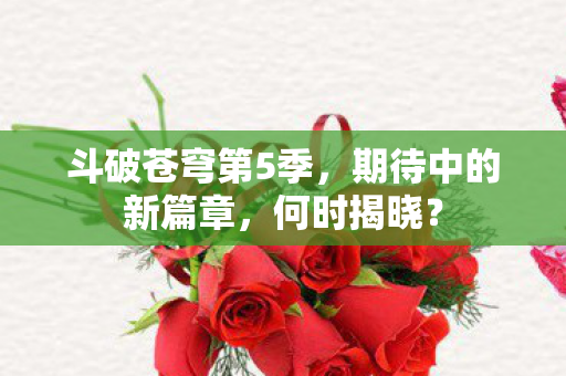 斗破苍穹第5季图片