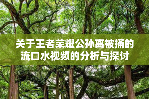关于王者荣耀公孙离被捅的流口水视频的分析与探讨图片
