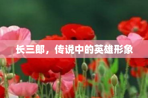 传说中的英雄形象图片