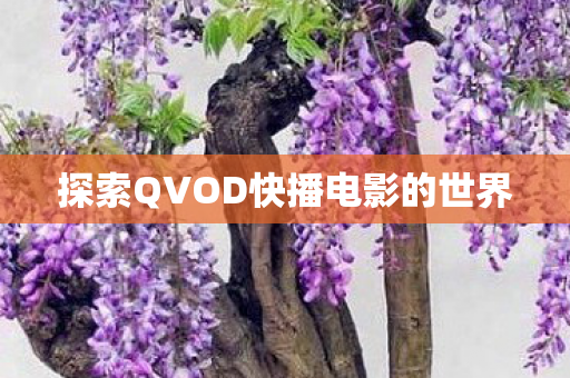 探索QVOD快播电影的世界图片