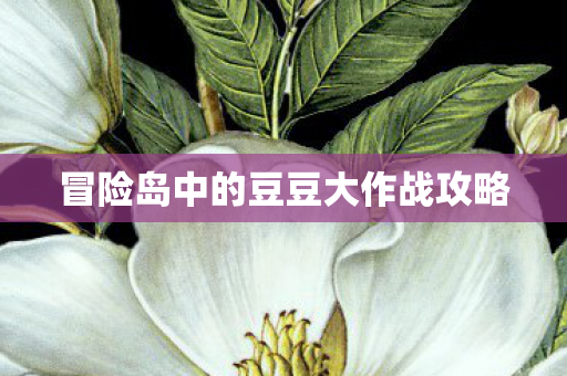 冒险岛中的豆豆大作战攻略图片