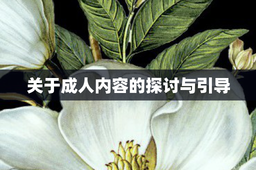 关于成人内容的探讨与引导图片