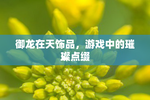游戏中的璀璨点缀图片
