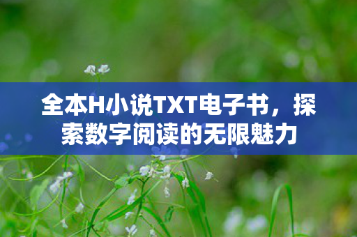 全本H小说TXT电子书图片