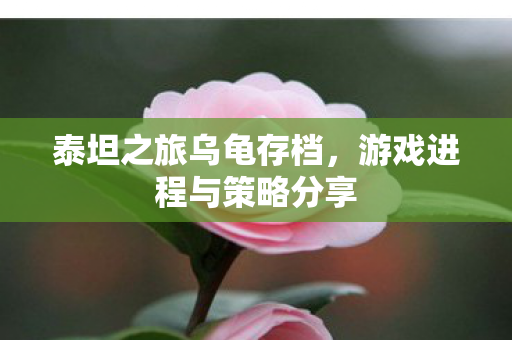 游戏进程与策略分享图片