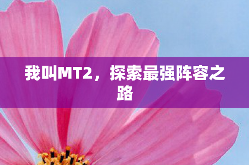 探索最强阵容之路图片