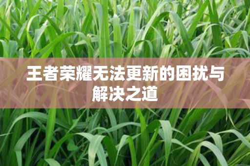 王者荣耀无法更新的困扰与解决之道图片