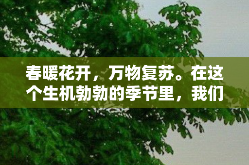让我们共同探讨这个重要而又敏感的话题图片