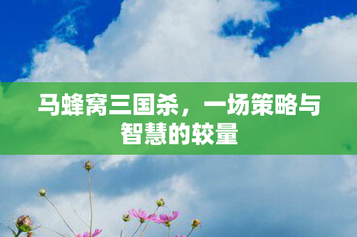 一场策略与智慧的较量图片