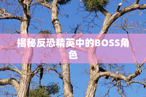揭秘反恐精英中的BOSS角色图片
