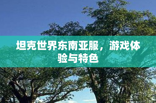坦克世界东南亚服图片