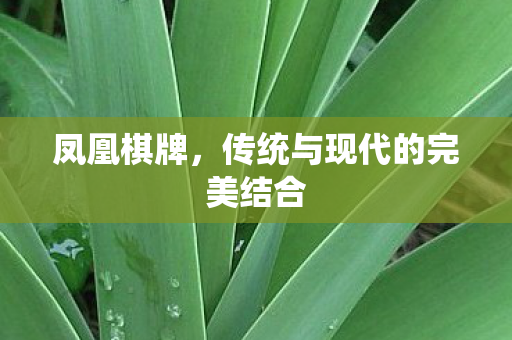 传统与现代的完美结合图片