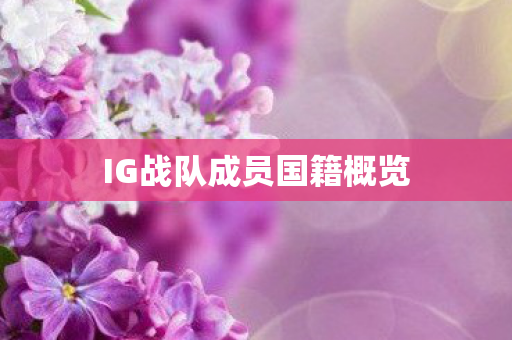 IG战队成员国籍概览图片