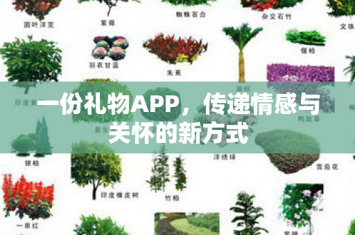 传递情感与关怀的新方式图片