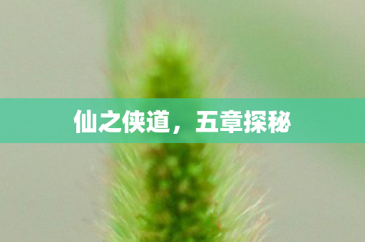 仙之侠道图片