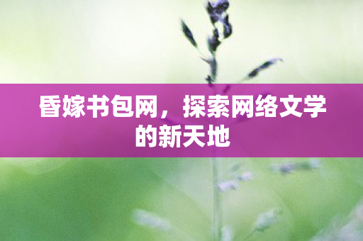 探索网络文学的新天地图片