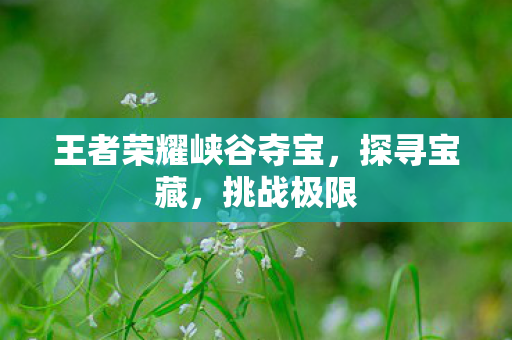王者荣耀峡谷夺宝图片