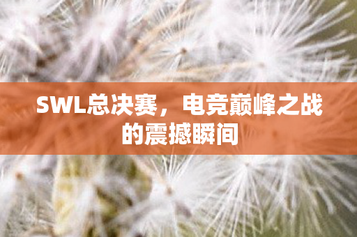 电竞巅峰之战的震撼瞬间图片