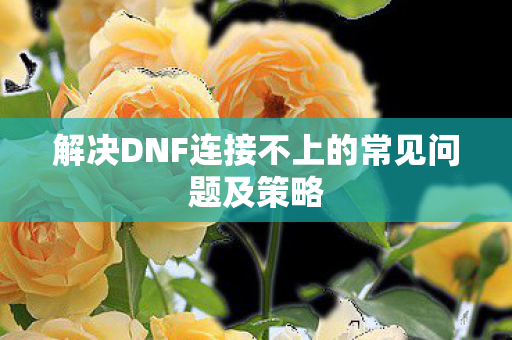 解决DNF连接不上的常见问题及策略图片