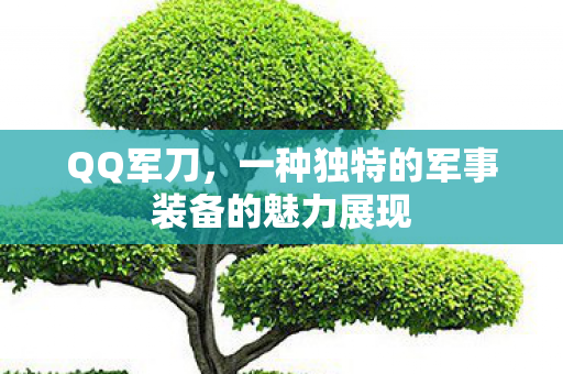一种独特的军事装备的魅力展现图片