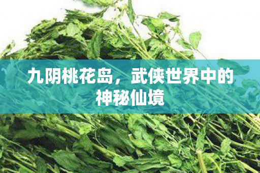 武侠世界中的神秘仙境图片