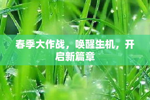 春季大作战图片