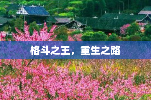 格斗之王图片