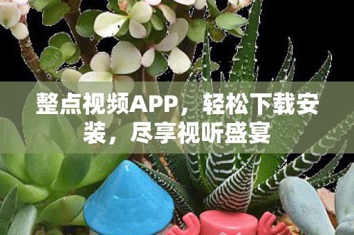 整点视频APP图片